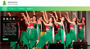 penang website design