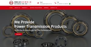 penang website design