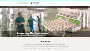 penang website design