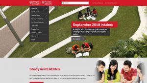 penang website design