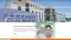 penang website design