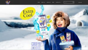 penang website design