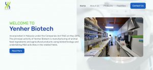 penang website design