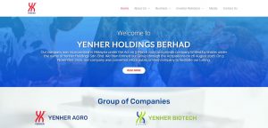 penang website design